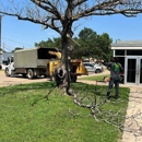 Wood Work Tree Service - Tree Service