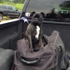 Mount Baker Motorcycle Club