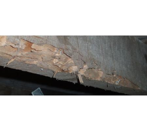 Be Sure Building & Pest Inspections - Rural View, QLD