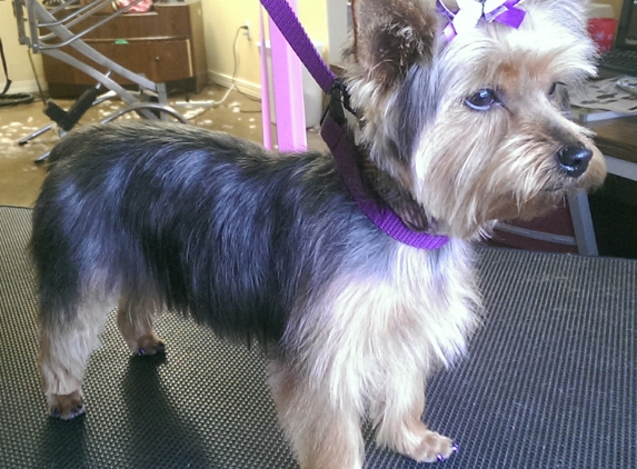 Touch of Love Pet Grooming - Petal, MS