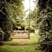 Gallery Image Number 2