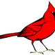 Cardinal Contractors, LLC.