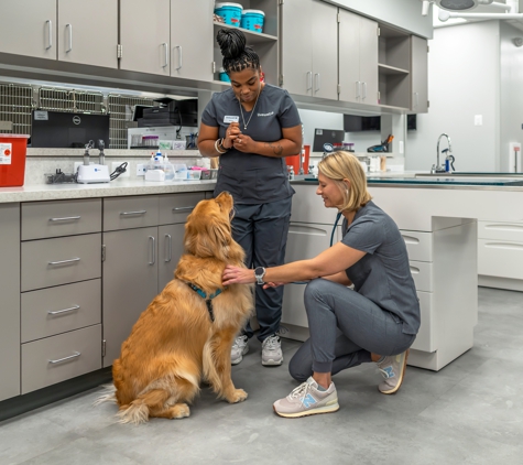 Livewell Animal Hospital at The Parks - Washington, DC