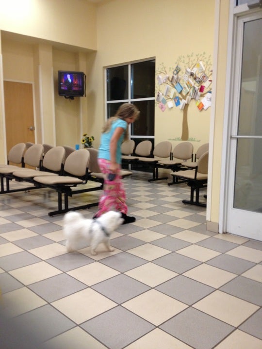 Animal Emergency Clinic Greenville, SC 29607
