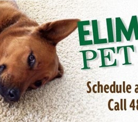 Evergreen Floor Care - Scottsdale, AZ