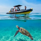 Diamond Head Cruises