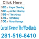 Carpet Cleaning The Woodlands - Carpet & Rug Cleaners