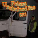 Felons Unchained Inc - Training Consultants