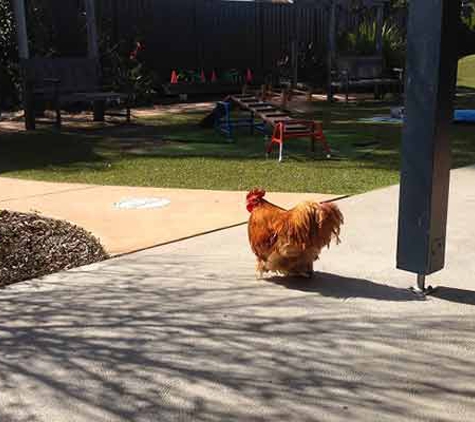 Tillys Play & Development Centre - Bolwarra, NSW