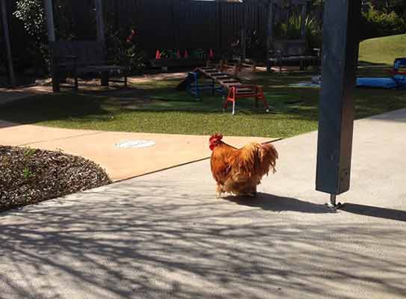 Tillys Play & Development Centre - Greta, NSW