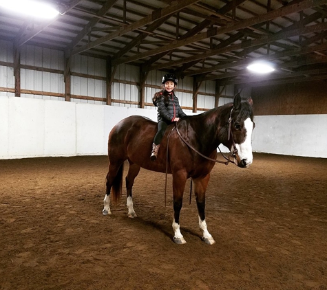 Kaizen Horse Training and Lessons - Monroe, MI