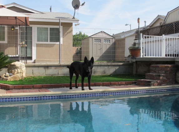 Dana's Doggy Daycare - Canoga Park, CA