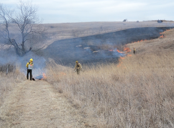 Quercus Land Stewardship Services - Black Earth, WI