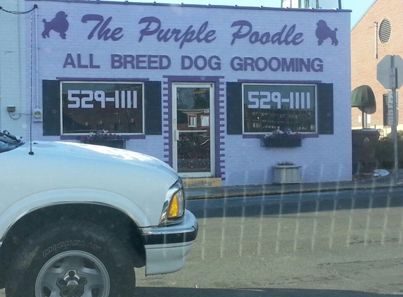 The Purple Poodle - Creedmoor, NC