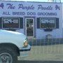 The Purple Poodle