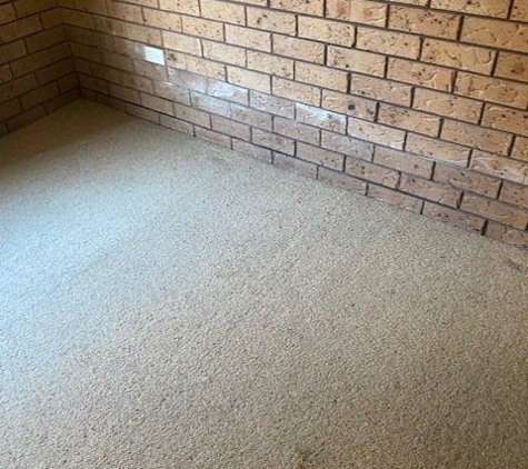 Precision Building. Rising Damp