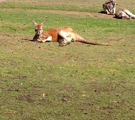 Global Wildlife Center - Folsom, LA