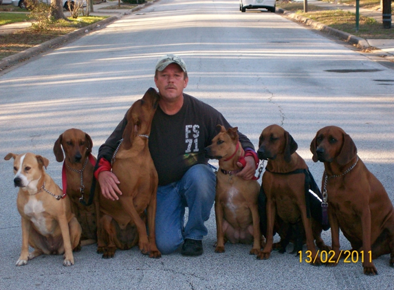 Russell's K-9 Academy - Daytona Beach, FL