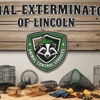 Animal Exterminators of Lincoln gallery