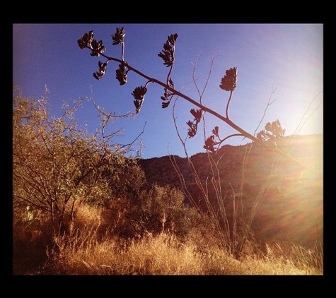 Loews Ventana Canyon Resort - Tucson, AZ