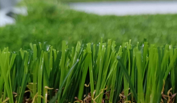 MBA Grass - Southern River, WA