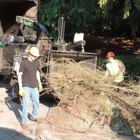 Larson Logging & Tree Service, Inc.