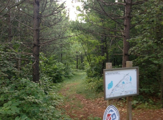 Chippewa National Forest - Cass Lake, MN