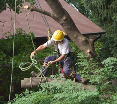 Appalachian Tree Service - Kennesaw, GA