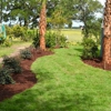 Palmetto Landscaping & Design gallery