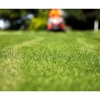 Modern Lawn Care LLC gallery