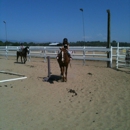 Academy Stables - Horse Boarding