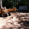 Manley's Stump Grinding gallery