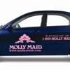 MOLLY MAID of N. Nashville, Sumner, & Wilson Counties gallery