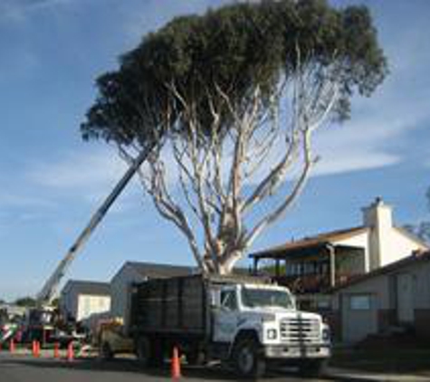 Urban Lumberjacks - Salinas, CA