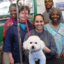 Animal Kingdom - East Orange - Pet Services