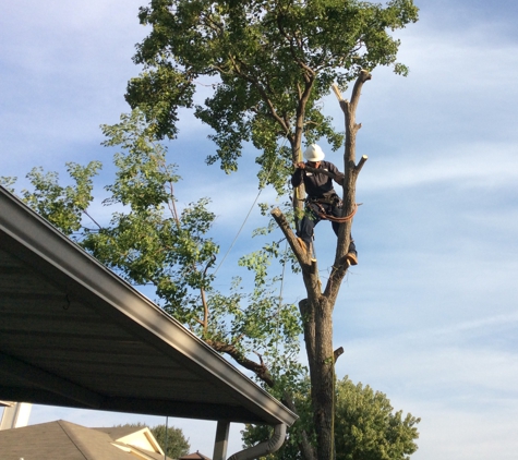 Sal's Landscape & Tree Service - Irving, TX