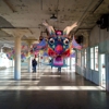 Alcatraz Island gallery