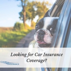 Cook Insurance Inc