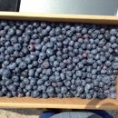 Tom Haines Blueberries - Farms