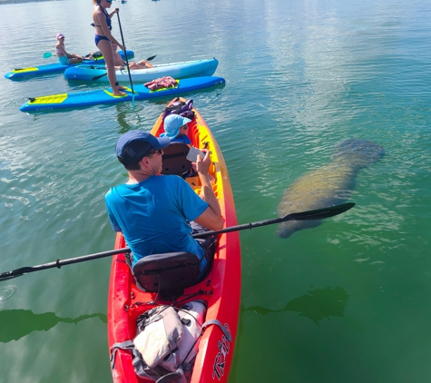 SURFIT USA-Kayaks, Paddleboards & Surf - Sarasota, FL