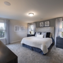West End Station by Meritage Homes - Home Builders