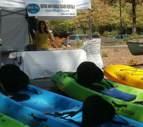 WhatsSup Stand Up Paddle & Kayak - Bothell, WA