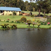 Gallery Image Number 3