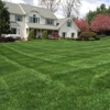 Simply The Best Lawns gallery