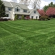 Simply The Best Lawns