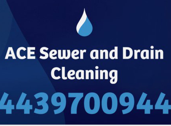 ACE Sewer and Drain Cleaning - Curtis Bay, MD