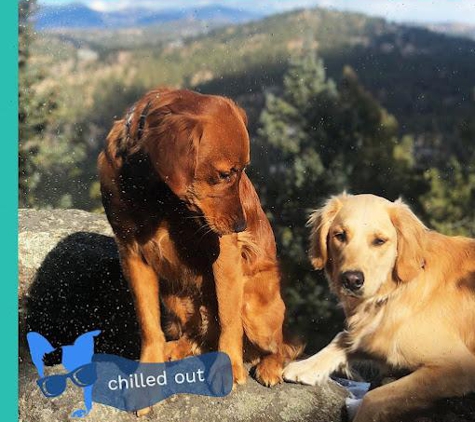 Chill Out Dog Training - Denver, CO