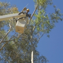 4th Generation Tree - Tree Service