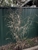 New Leaf Nursery & Landscapes - Nurseries - Retail