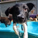 Tucker Pup's Pet Resort - Hostels